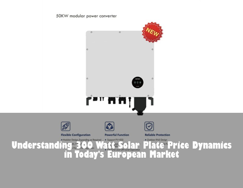 Understanding 300 Watt Solar Plate Price Dynamics in Today's European Market