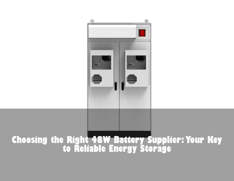 Choosing the Right 48W Battery Supplier: Your Key to Reliable Energy Storage