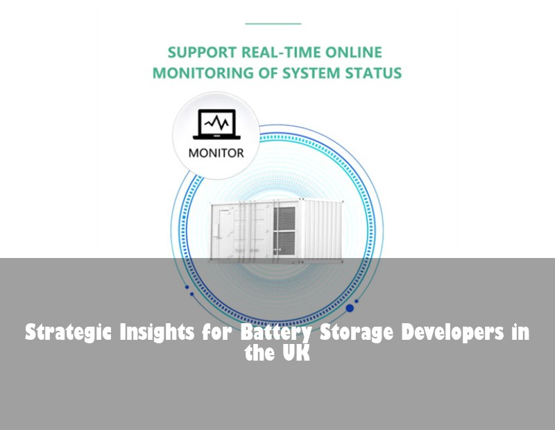 Strategic Insights for Battery Storage Developers in the UK