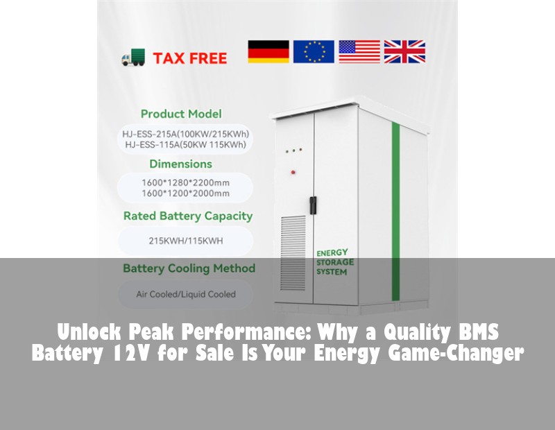 Unlock Peak Performance: Why a Quality BMS Battery 12V for Sale Is Your Energy Game-Changer