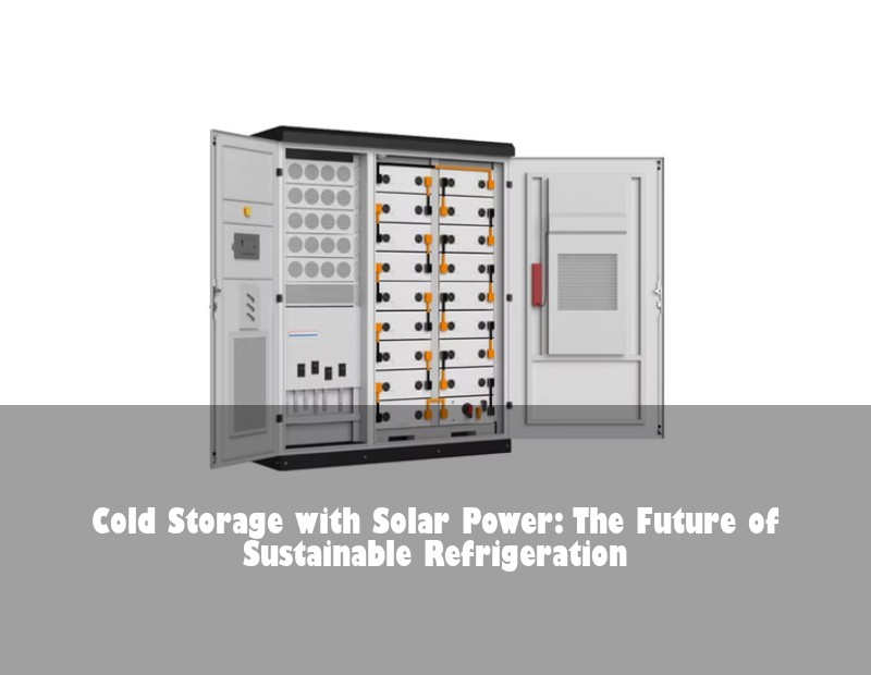 Cold Storage with Solar Power: The Future of Sustainable Refrigeration