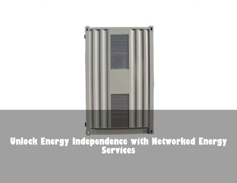 Unlock Energy Independence with Networked Energy Services | HJ Energy Storage News