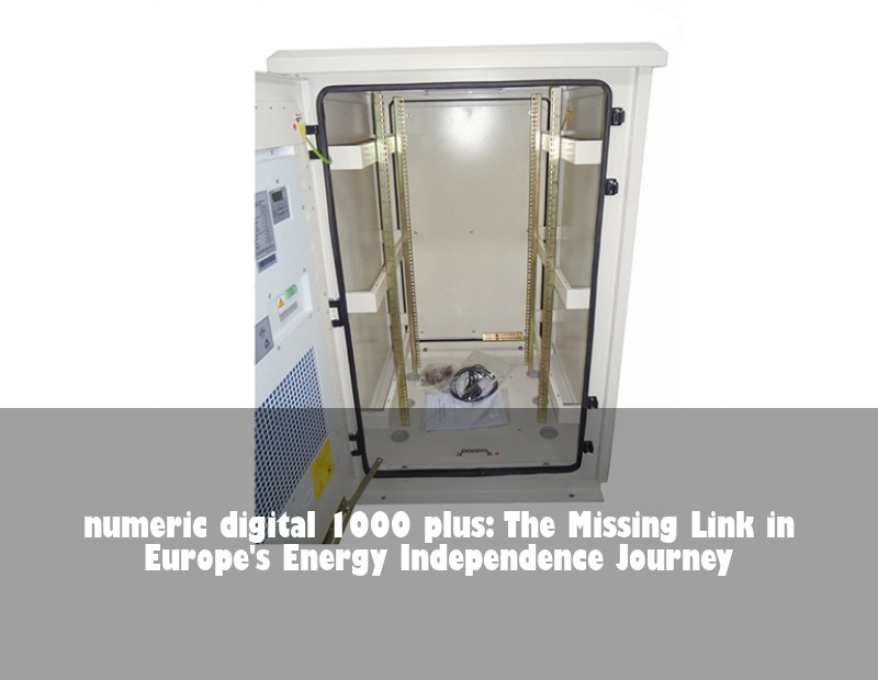 numeric digital 1000 plus: The Missing Link in Europe's Energy Independence Journey | HJ Energy Storage News