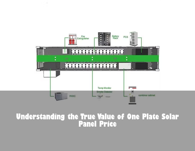 Understanding the True Value of One Plate Solar Panel Price