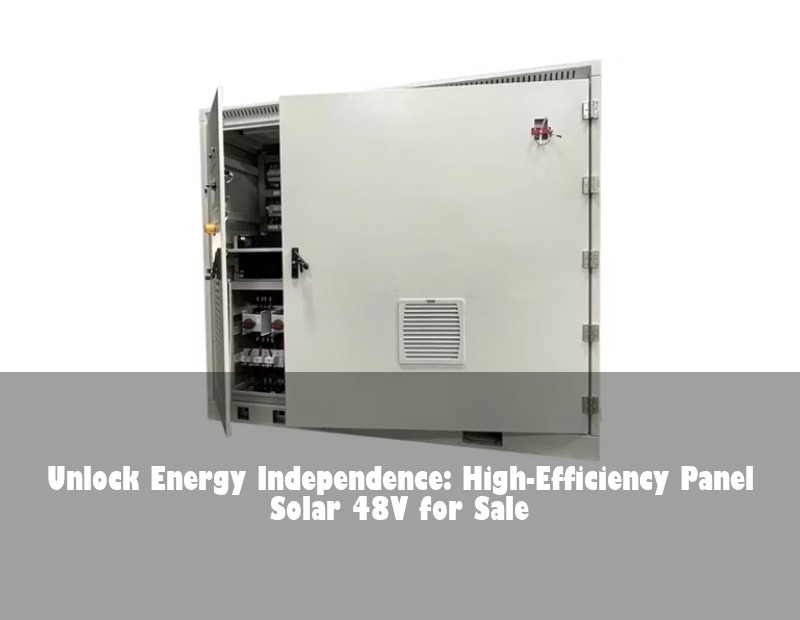 Unlock Energy Independence: High-Efficiency Panel Solar 48V for Sale