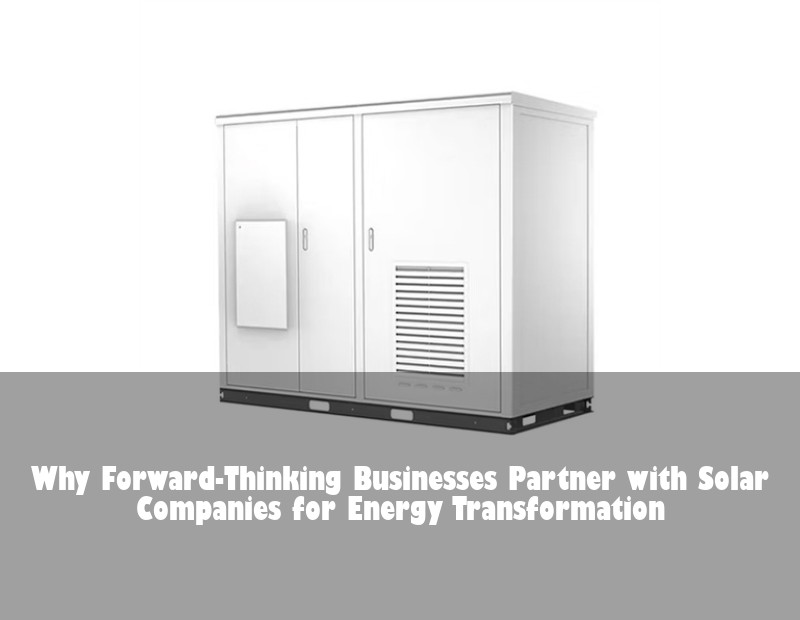 Why Forward-Thinking Businesses Partner with Solar Companies for Energy Transformation