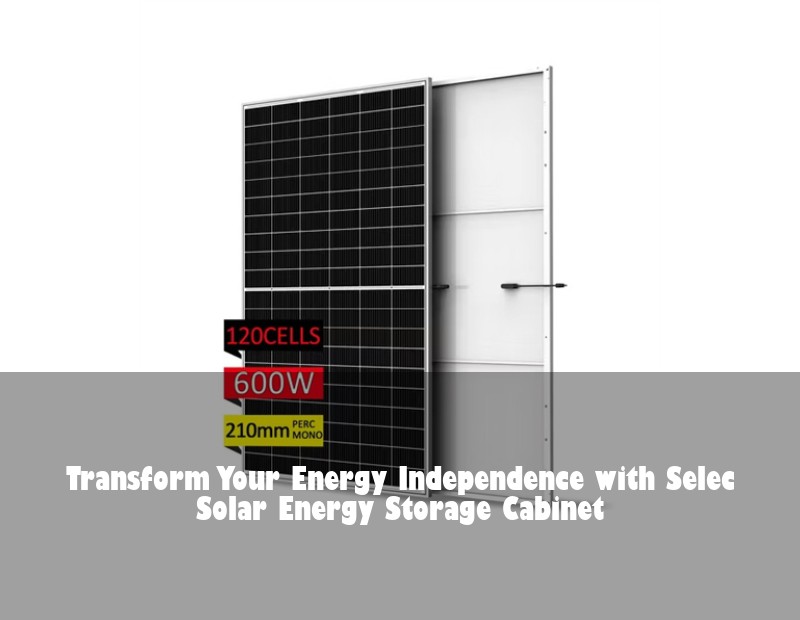 Transform Your Energy Independence with Selec Solar Energy Storage Cabinet