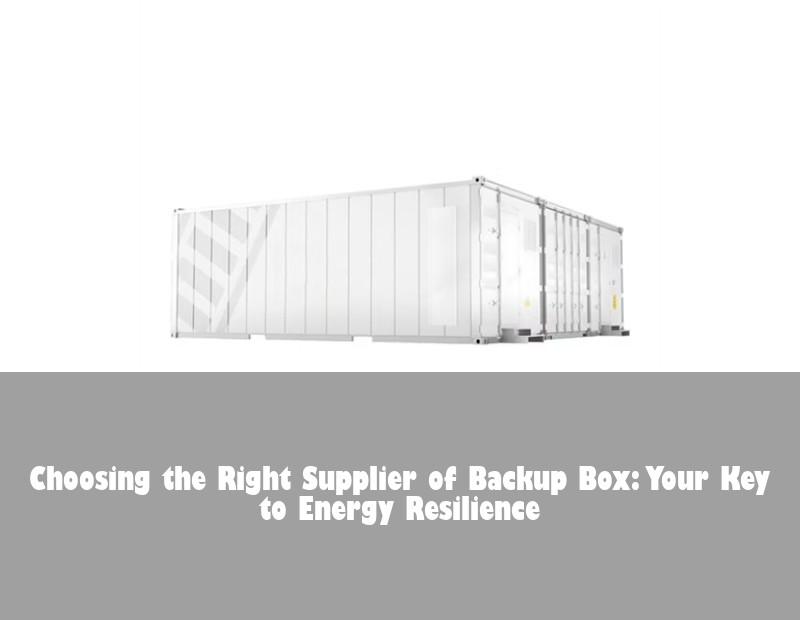 Choosing the Right Supplier of Backup Box: Your Key to Energy Resilience