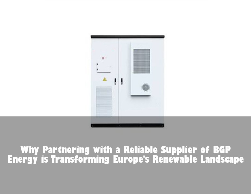 Why Partnering with a Reliable Supplier of BGP Energy is Transforming Europe's Renewable Landscape
