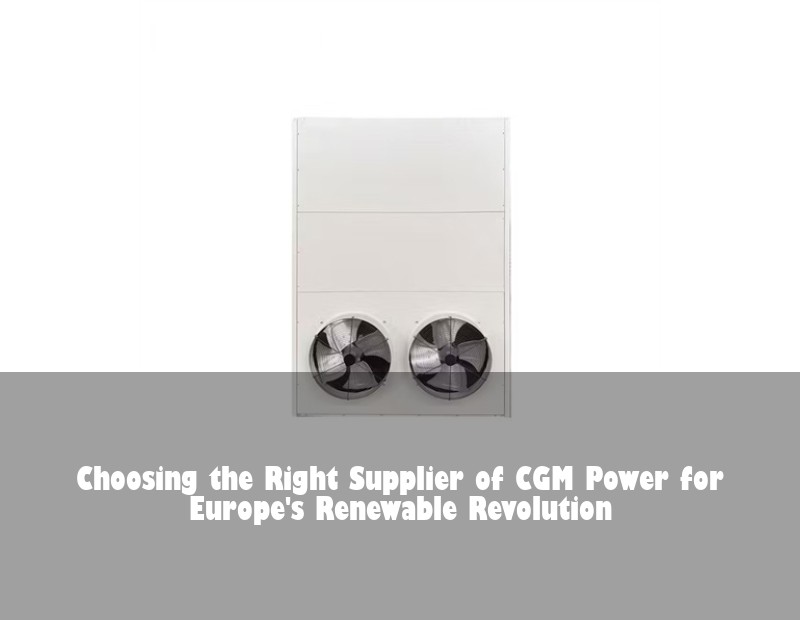 Choosing the Right Supplier of CGM Power for Europe's Renewable Revolution