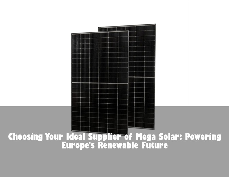 Choosing Your Ideal Supplier of Mega Solar: Powering Europe's Renewable Future