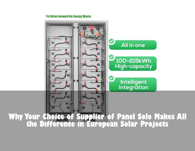 Why Your Choice of Supplier of Panel Solo Makes All the Difference in European Solar Projects