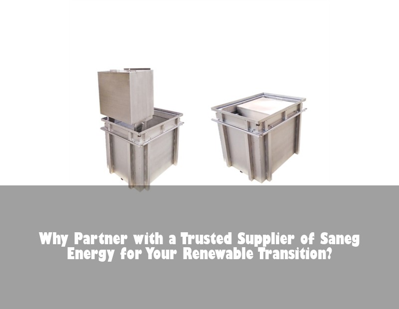 Why Partner with a Trusted Supplier of Saneg Energy for Your Renewable Transition?