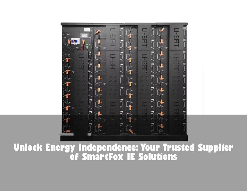 Unlock Energy Independence: Your Trusted Supplier of SmartFox IE Solutions