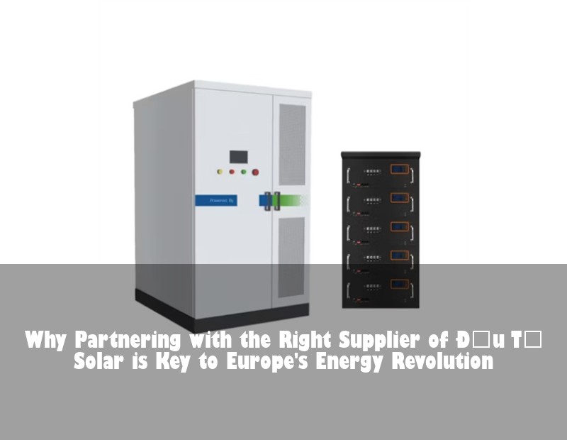 Why Partnering with the Right Supplier of Đầu Tư Solar is Key to Europe's Energy Revolution